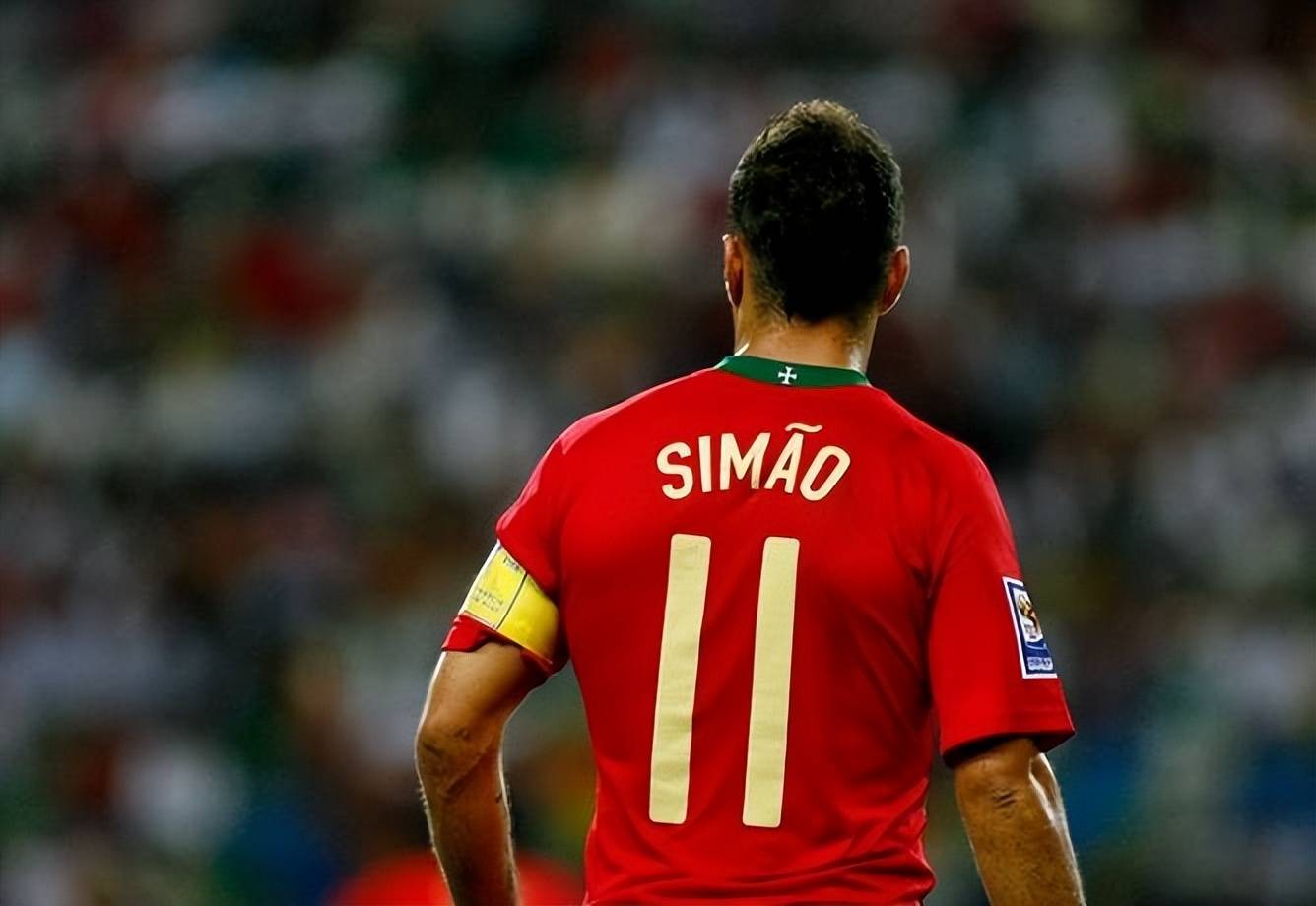 供了广泛的 供了广泛的