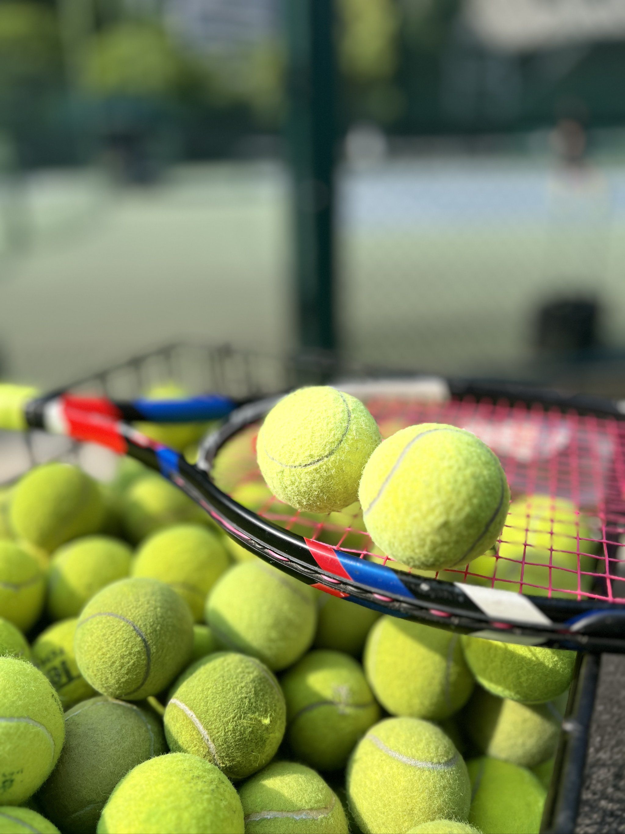 和学习的主 和学习的主