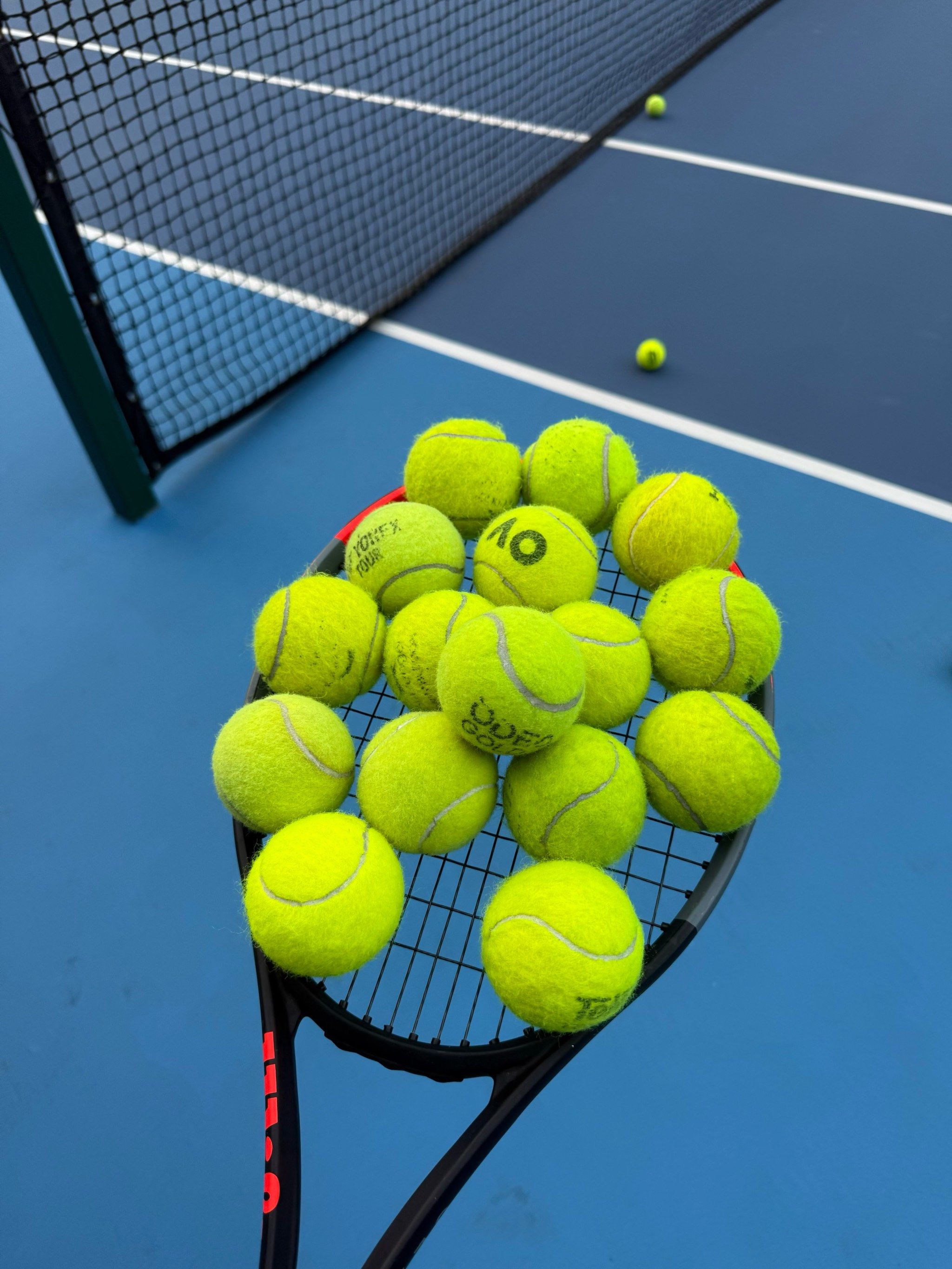 起的新星 起的新星