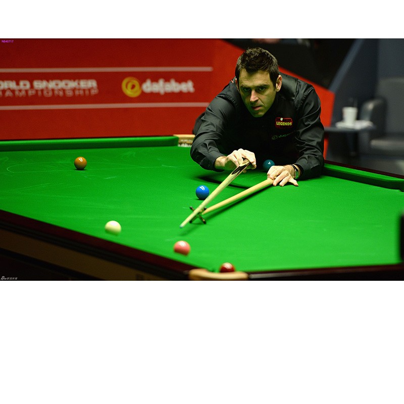 球迷的喜爱 球迷的喜爱